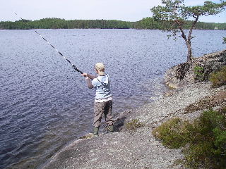 IMGP0375.JPG 
