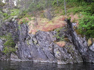 IMGP0383.JPG 